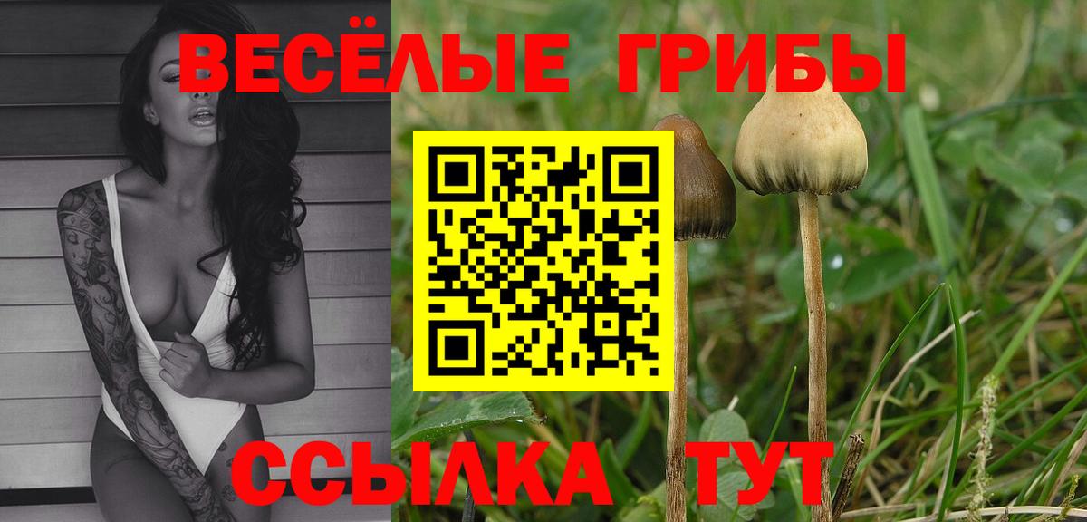 Псилоцибиновые грибы GOLDEN TEACHER Сорочинск